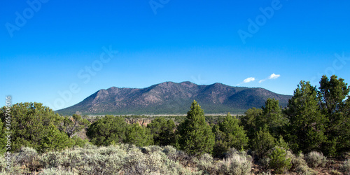 A pinyon-juniper woodland along the Rio Grande in Rio Grande del Norte National Monument in New Mexico photo