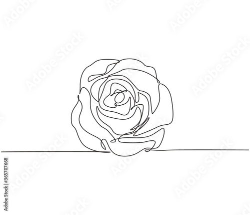 One continuous line drawing of fresh beautiful romantic rose flower. Greeting card, invitation, logo, banner, poster concept. Trendy single line draw design vector graphic illustration