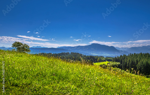 Landschaft im Allg  u  Bayern  Deutschland