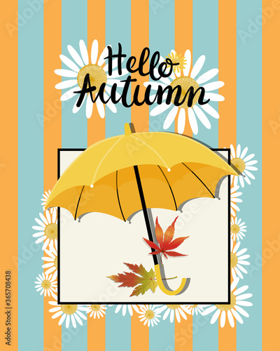 Vector banner Hello Autumn with blue  orange striped, daisy flowers, umbrella, maples leaves falling on the ground, illustration for Autumn or Fall seasons background banner, poster, sale and flyers