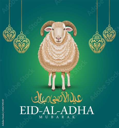 Muslim holiday Eid al-Adha. graphic design decoration kurban bayrami. floral lamb and a sheep.Translation from Arabic: Eid al-Adha. vector illustration