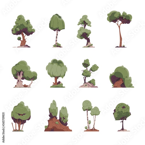 Cartoon trees. Flat fairytale detailed graphic elements, oak willow birch trees for game environment. Vector illustration garden plants set for yard types