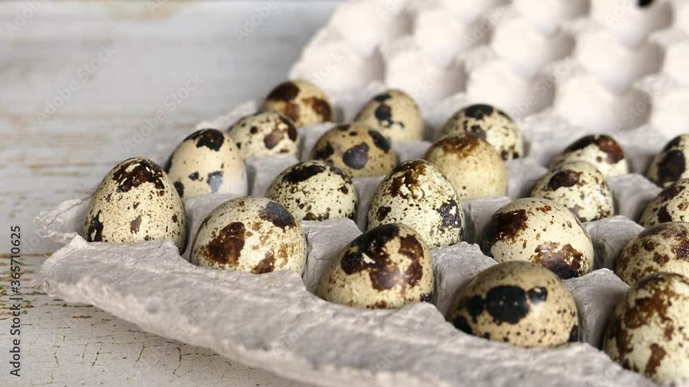 Uncooked Quail Eggs In Pack Box Close-up Slider Shot Top View.. Uncooked Quail Eggs In Pack Box Close-up Slider Shot Top View..
