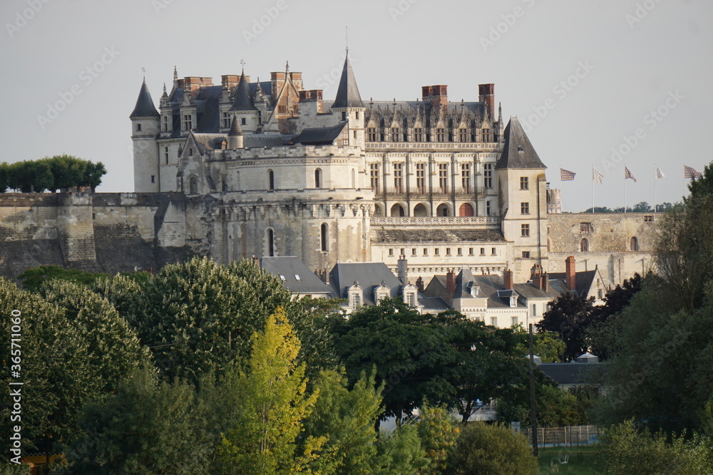 chateau d'Amboise, France above the city