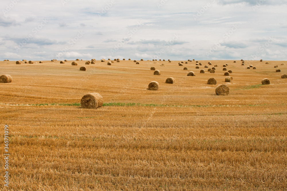 Harvested field with straw bales, end of summer, autumn