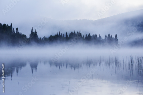 Misty Morning in Mont Tremblant National Park-Canada