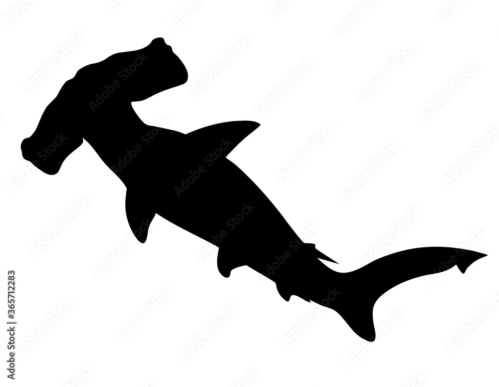 Hammerhead shark. Black hand drawing silhouette vector image. - obrazy, fototapety, plakaty 