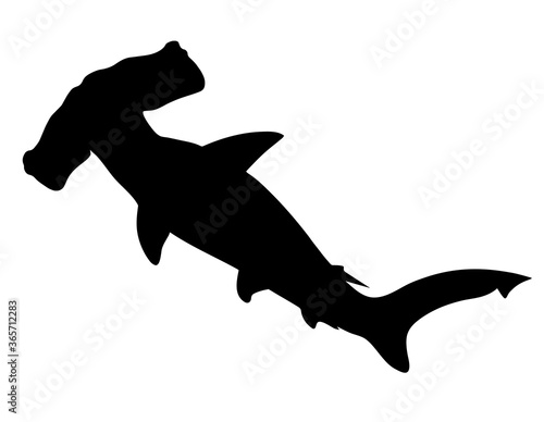 Hammerhead shark. Black hand drawing silhouette vector image.