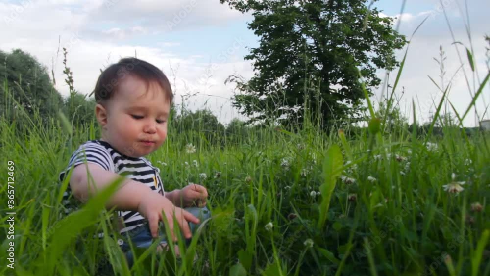 Cute boy, little son, on the grass, studying the grass in a city park on a warm sunny day. The child enjoys life, a happy childhood. Cute boy, little son, on the grass, studying the grass in a city park on a warm sunny day. The child enjoys life, a happy childhood.