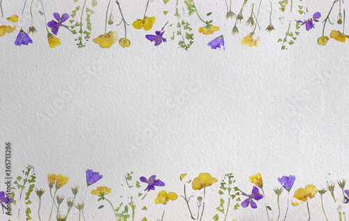 field yellow and purple flowers herbarium business card greeting card screensaver