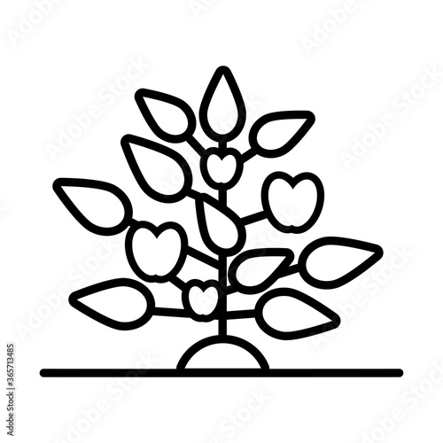 growth plant with apples line style icon