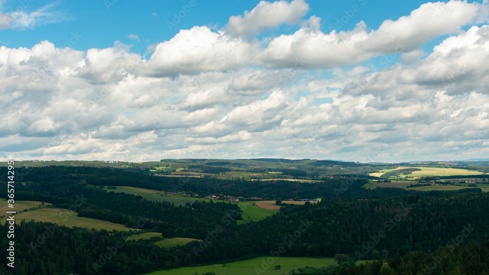 summer landscape, cloudy blue sky and green fields with forests