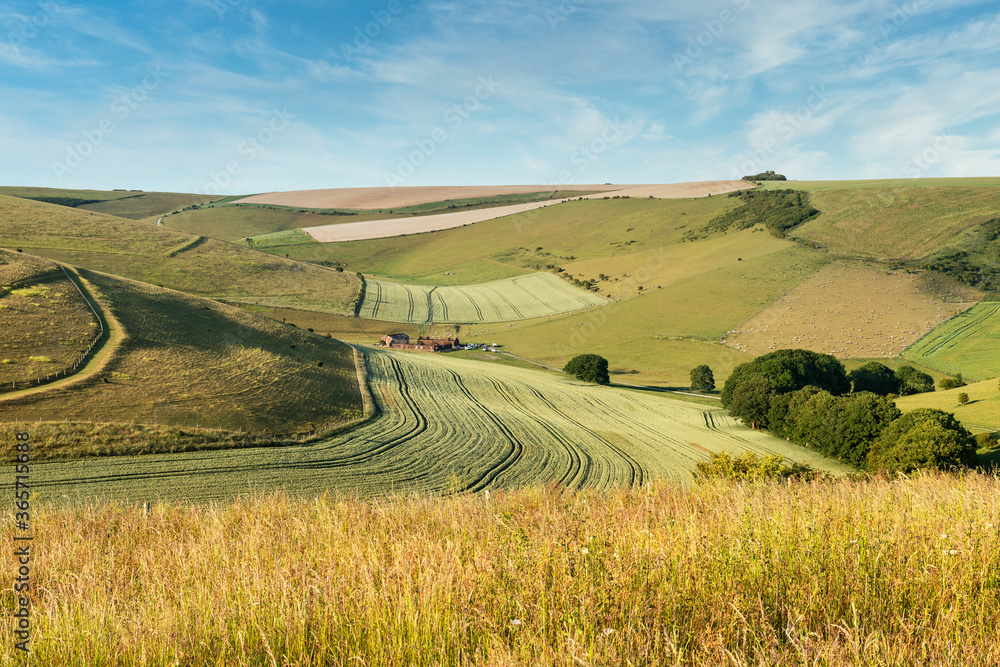 Lovely landscape image of agricultural English countryside during warm late afternoon Summer light