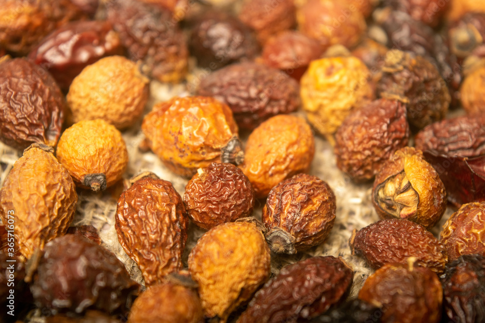 Dried rosehip fruits scattered on a homespun fabric with a rough texture. Close up. Dried rosehip fruits scattered on a homespun fabric with a rough texture. Close up.