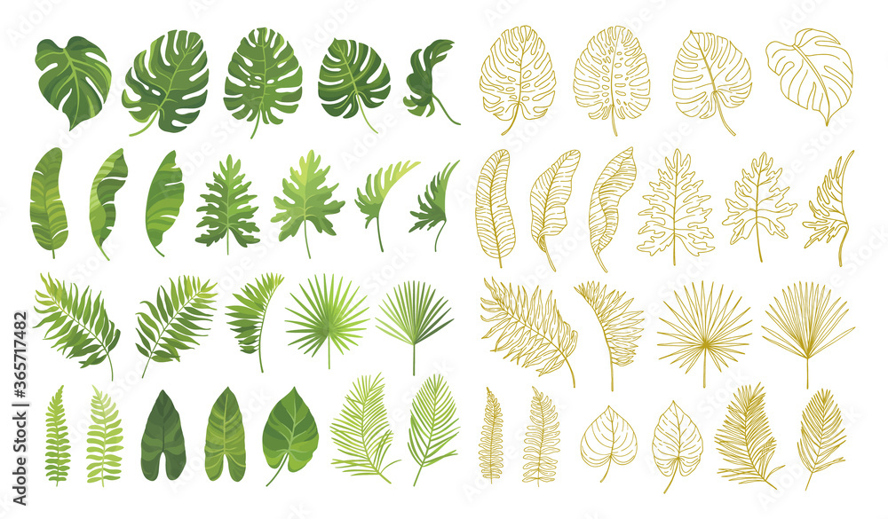 Tropical green leaves and hand drawn line art graphic set isolated om white background. Vector illustration. Tropical green leaves and hand drawn line art graphic set isolated om white background. Vector illustration.