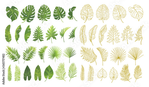 Tropical green leaves and hand drawn line art graphic set isolated om white background. Vector illustration.