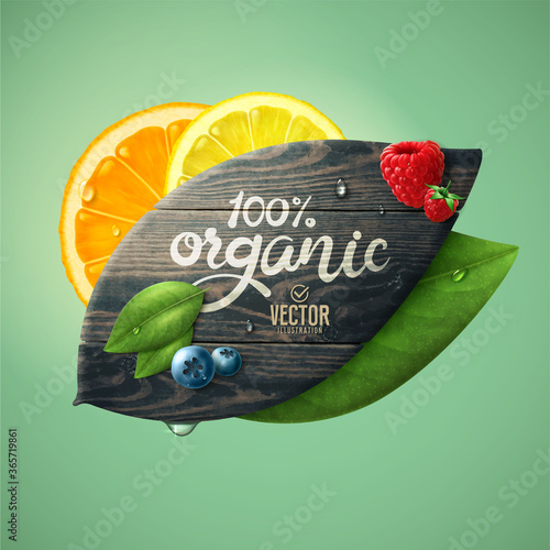 Vector realistic summer fruits template. Leaf shaped wood, leaves and fruits.