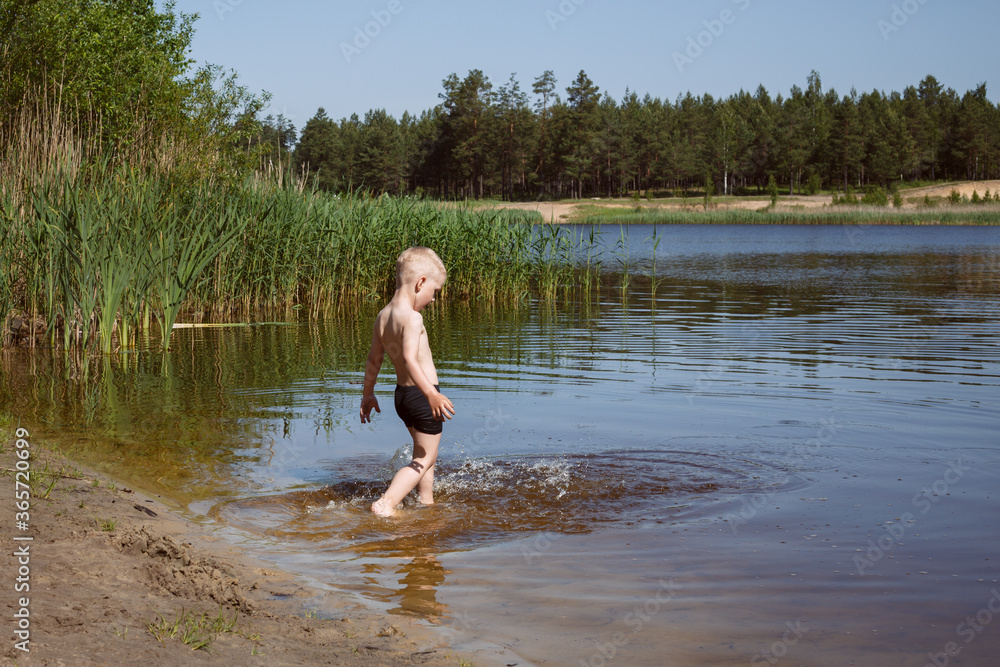 blond boy in black swimming trunks neatly enters the lake with yellow sand, in the background coniferous forest.
lmage with selective focus blond boy in black swimming trunks neatly enters the lake with yellow sand, in the background coniferous forest.
lmage with selective focus