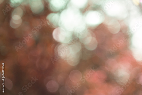 Blurred abstract bokeh background of autumn foliage and sky. Autumn background for your creativity. The concept of natural beauty