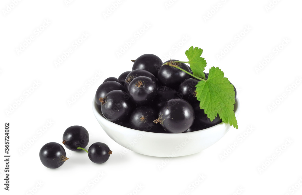 Ripe black currant with leaves in ceramic bowl isolated on white background Ripe black currant with leaves in ceramic bowl isolated on white background