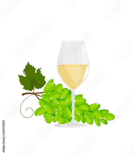 Vector illustration of white wine glass and bucnh of green grapes for infographics, design, web. photo