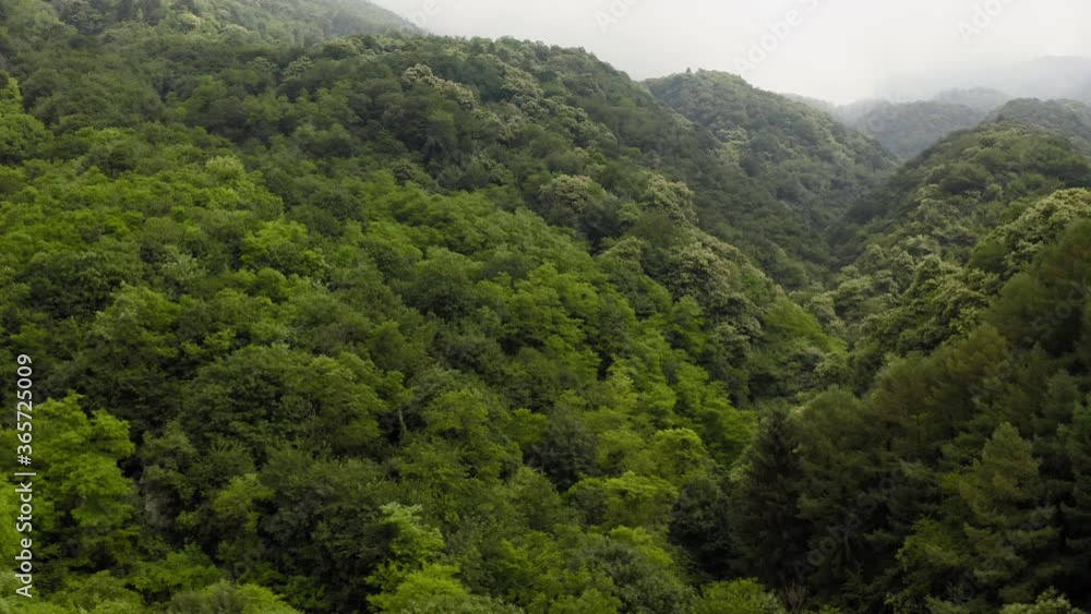Aerial view of lush forest in the mountains near of
Valdobbiadene Italy Aerial view of lush forest in the mountains near of
Valdobbiadene Italy