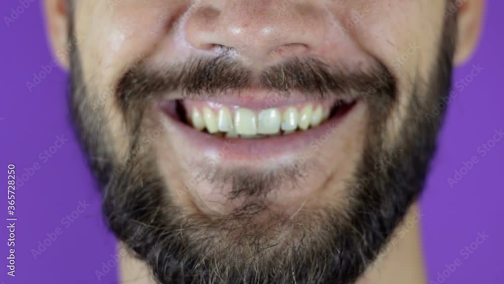 Handsome bearded man looking at the camera and smiling. Close-up of a smiling young bearded guy. Handsome bearded man looking at the camera and smiling. Close-up of a smiling young bearded guy.