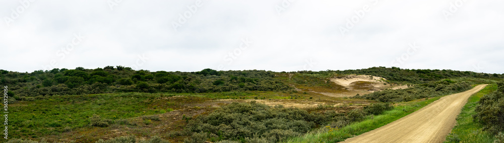 Panorma picture dunes zeeland The Netherlands Panorma picture dunes zeeland The Netherlands