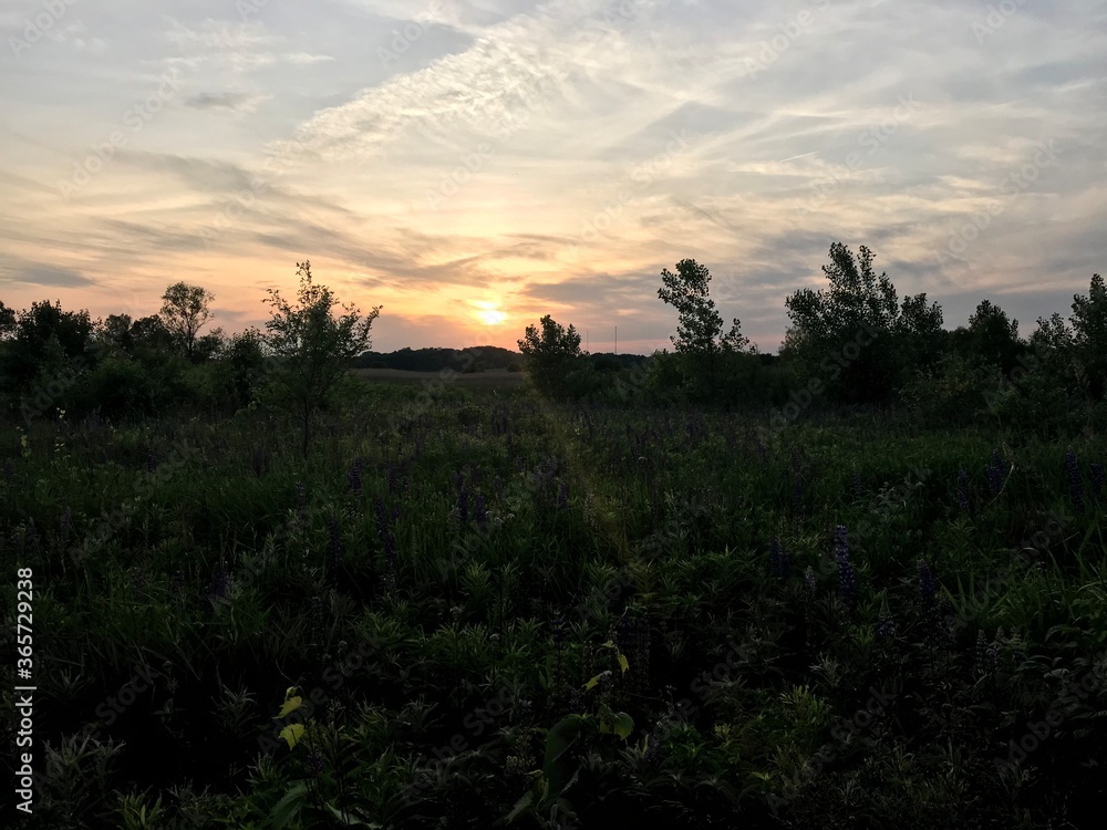 Sunset Sunset