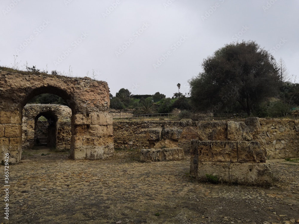 ruins of the ancient roman theatre