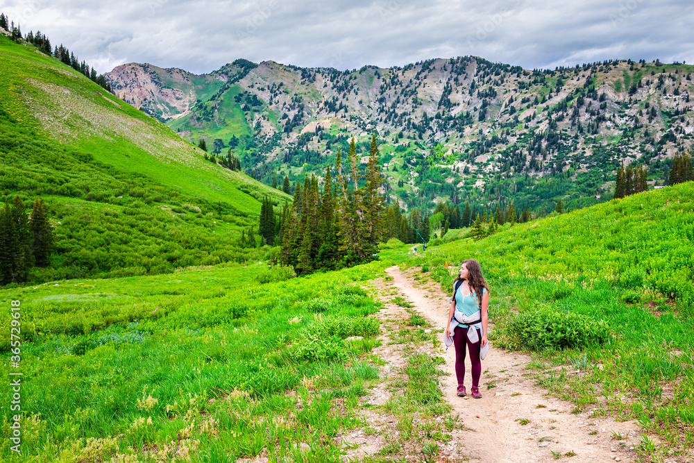 Albion Basin, Utah summer with woman standing on dirt road path landscape looking at wildflowers view on meadows trail in Wasatch mountains
