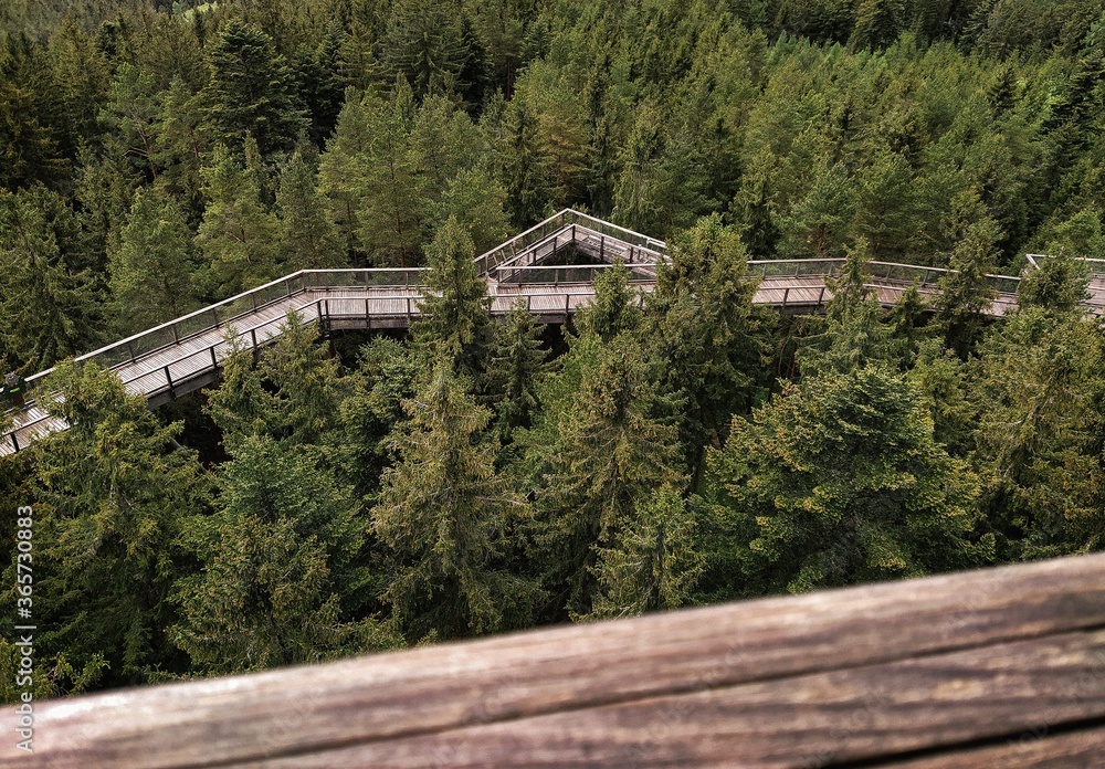 bridge over the river