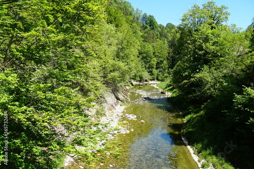 Shallow river with banks covered with round stones and wildly growing vegetation on a clear spring day.