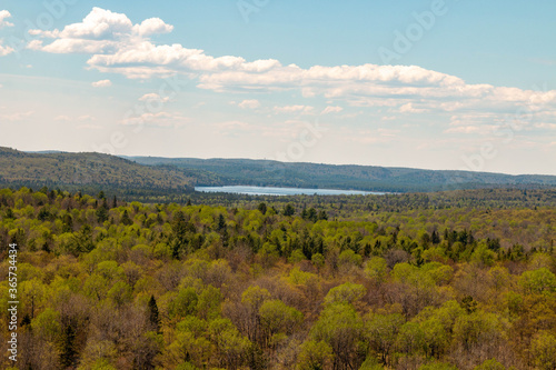 scenic views of algonquin provincial park in the spring