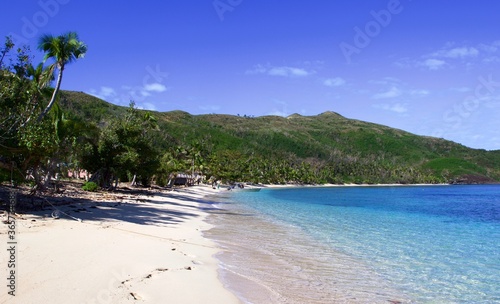 Fototapeta Naklejka Na Ścianę i Meble -  tropical beach with palm trees, Naviti island, Fiji