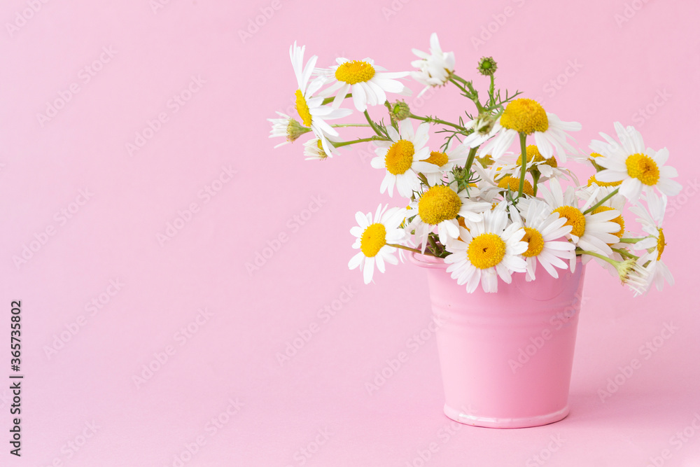 Floral arrangement with white daisies standing in a pink bucket on a light pink background. Copy space