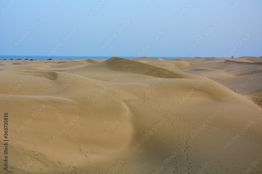 sand dunes on the beach of Maspalomas
