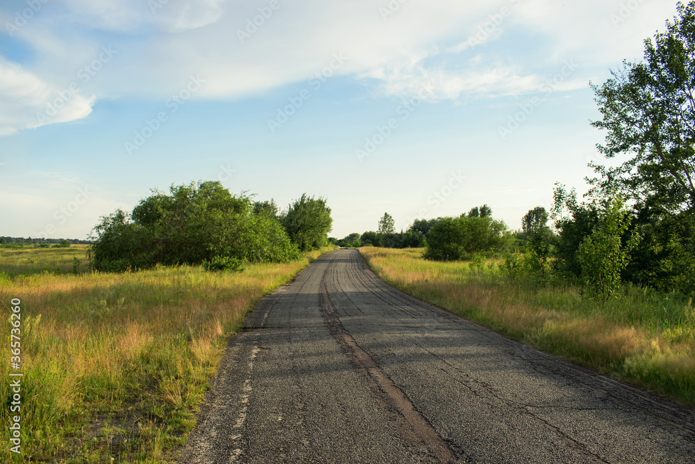 paved road along a field with bushes