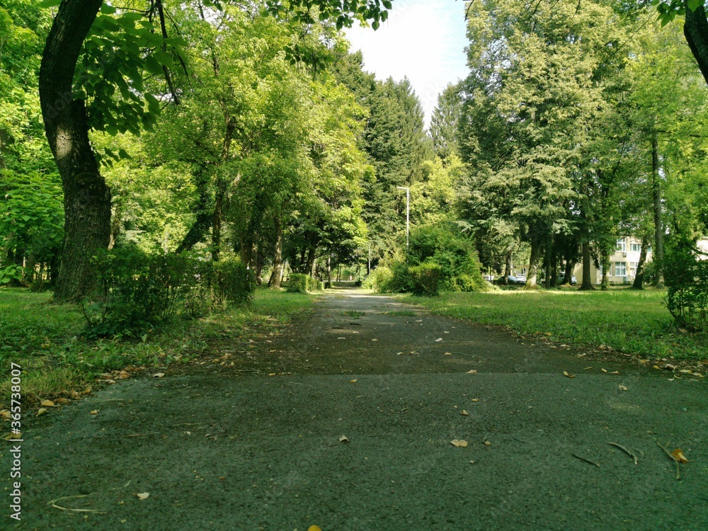 Obraz premium footpath in the park