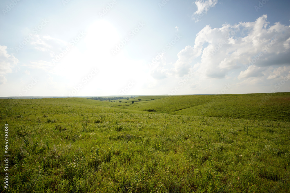 Kansas ranch green field and sky