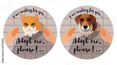 Adopting homless animals sticker set. The cat/dog is looking up imploringly in your eyes, hands reach to animal to take it. Vector illustration for animal shelter