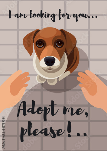 Adopting a dog flyer design. The dog is looking up imploringly in your eyes, hands reach to animal to take it.  Vector illustration for poster, postcard,  web banner for animal shelter