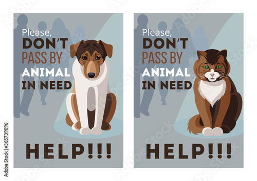 POSTER DESING SET WITH HOMLESS UNHAPPY CAT AND DOG SITTING WRITTEN DON’T PASS BY ANIMAL IN NEED. FLAYER, CARD, WEB BANNER, FOR PET SHELTER