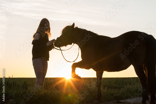 Mädchen mit Pferd in der Abendsonne