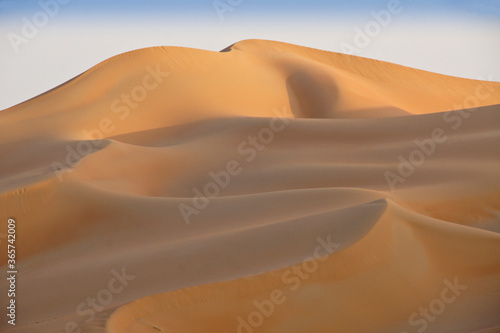 Contours of sand dunes at Liwa  Abu Dhabi  United Arab Emirates