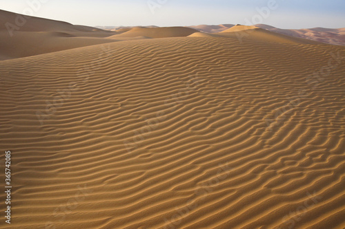 Contours of sand dunes at Liwa, Abu Dhabi, United Arab Emirates
