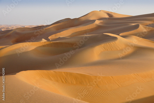 Contours of sand dunes at Liwa  Abu Dhabi  United Arab Emirates