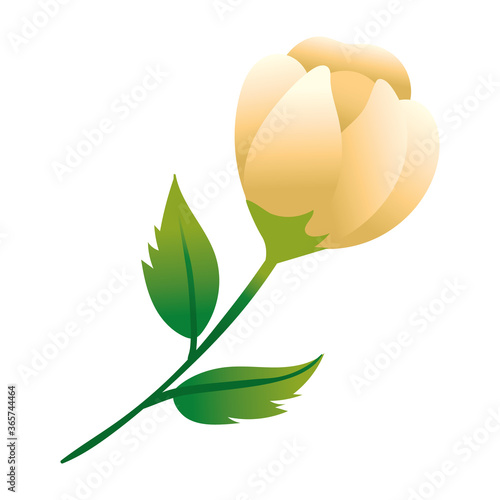 beautiful rose and leafs flower garden gradient style icon