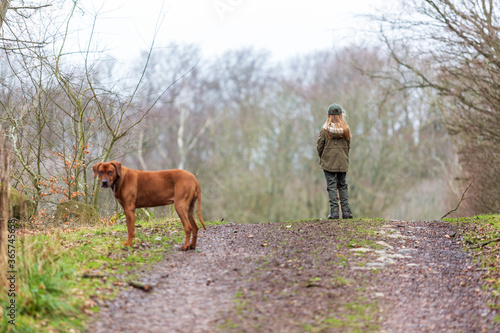 Girl walks on a dirt road on a rainy winter day with her dog © Björn Kristersson