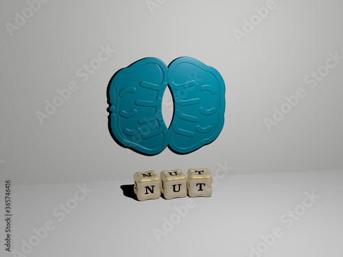 3D representation of NUT with icon on the wall and text arranged by metallic cubic letters on a mirror floor for concept meaning and slideshow presentation. background and food photo